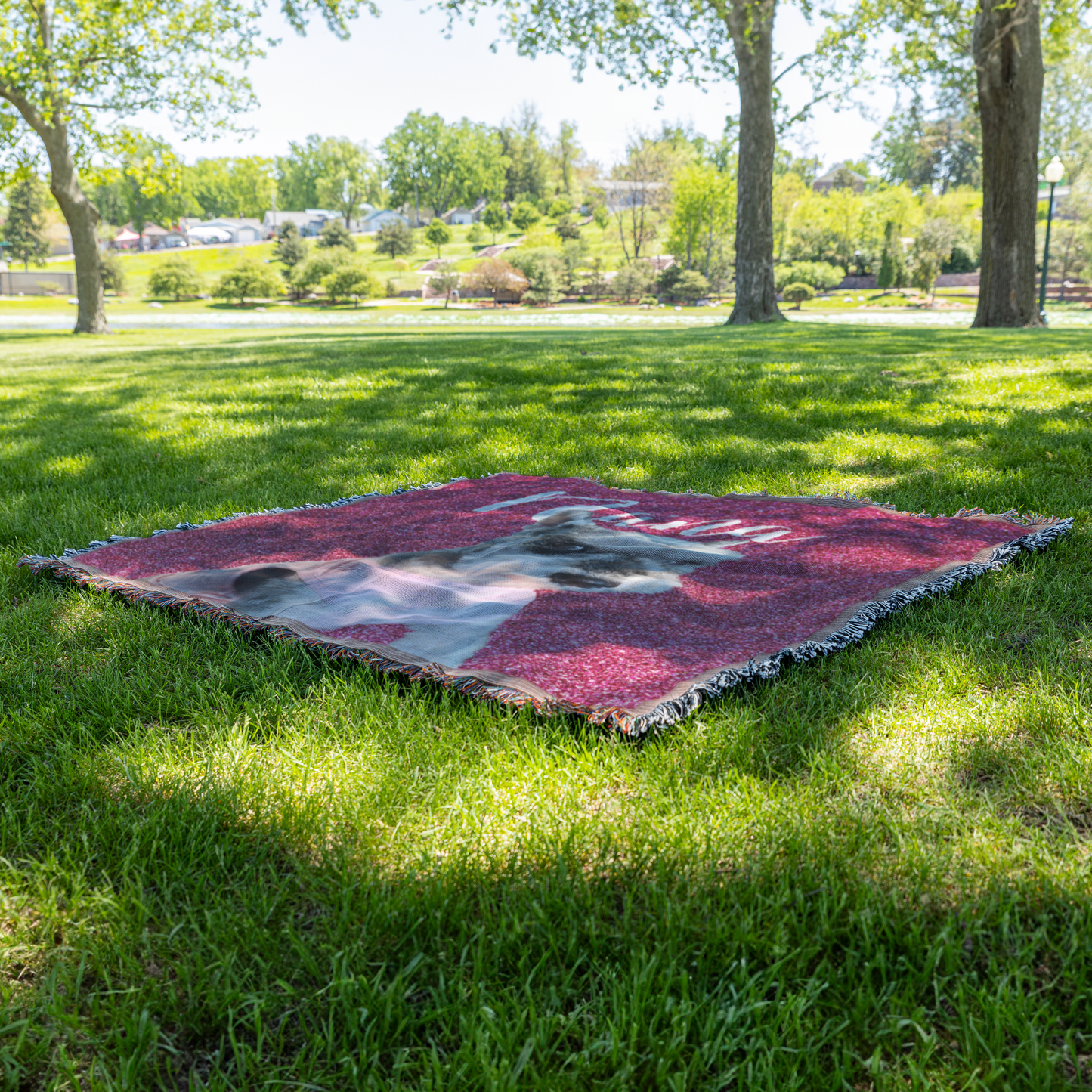 Personalized_Sparkle_Dog_Portrait_Woven__Grass_V_Mockup.png